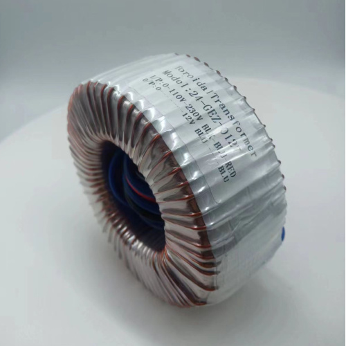 Professional Toroidal Transformer Amplifier