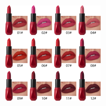 Customized Velvet Powder Long-Lasting Matte Nude Red Lipstick