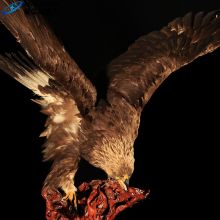 Động vật hoang dã Sở thú Theme Animatronic Eagle