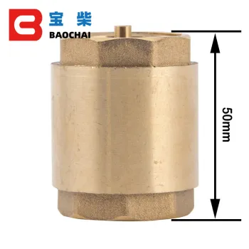 Brass Thread In-Line Check Valve 1 Inch Spring Anti-Backflow Connector for Water Pump
