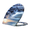 Fanmitrk Duroplast Toilet Seat Beach Reef Pattern