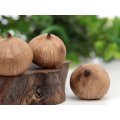 Flash Sale the Healthy Black Garlic