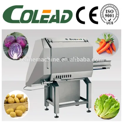 stainless steel vegetable washing machine/vegetable processing machine/vegetable cutting machine from Colead