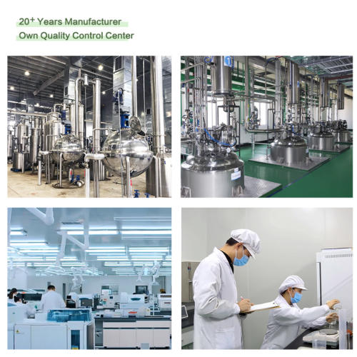 100% чисти органски ђумбир у праху | нема адитива