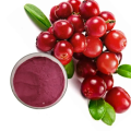 Heißer Verkauf natürlicher Bio -Cranberry -Fruchtsaftpulver
