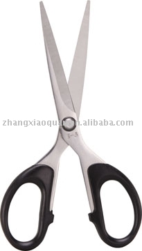 Stainless Steel Scissors