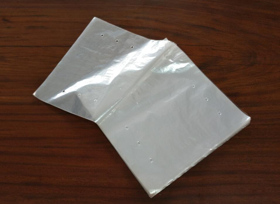 Clear Plastic Calendar Bag