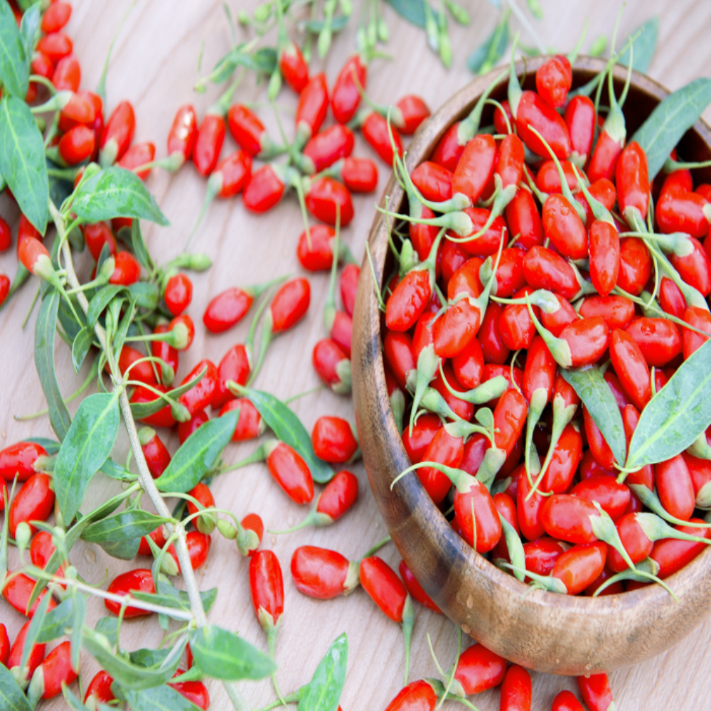 Pemakanan yang tinggi dalam perubatan herba Cina kering goji berry