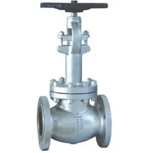 Cryogenic globe valve class 150