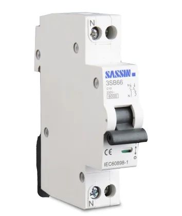 SASSIN MCB Miniature Circuit Breaker 100A 1P+N High Quality