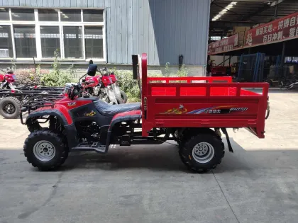 150cc/200cc/250cc ATV Tricycle and ATV Cargo Motorcycle Search