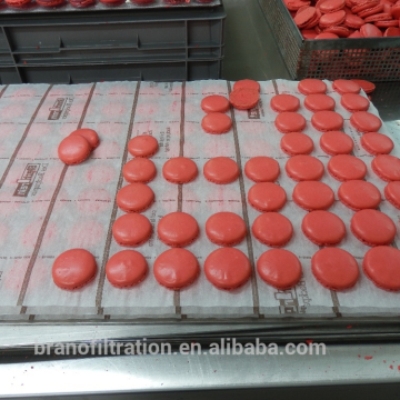 BLECHREIN Siliconized Baking Paper: Perfect for Macarons and Patisserie Confectionery