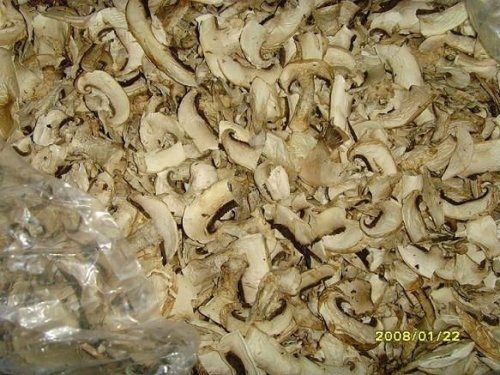 Air dried mushroom slice