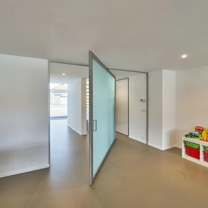 Pivot Entry Door with Frosted Glass Side Lite