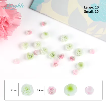 Fangkle 3D Nail Flower Resin Rhinestones Decorations