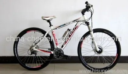 Mountain Bike 