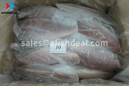 RED MULLET - CRIMSON SNAPPER - RED SNAPPER