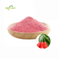 High-quality food-grade watermelon powder