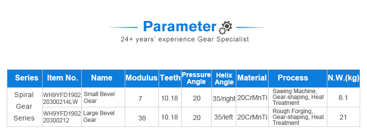 spiral bevel gear (10)