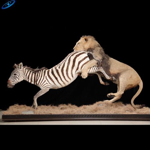 Model Hewan Zebra Ukuran Animatronik