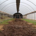 Best-selling Plastic Film Greenhouse for Flowers Agriculture