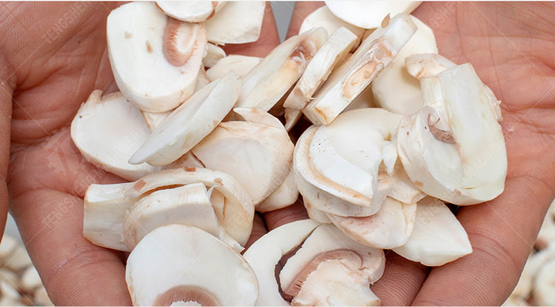 automatic commercial mushroom slicer