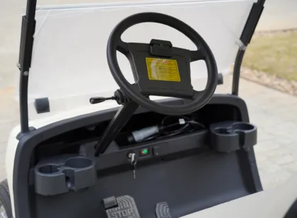 6 Seater Electric Sightseeing Bus - Antique Vintage Electric Sightseeing Car