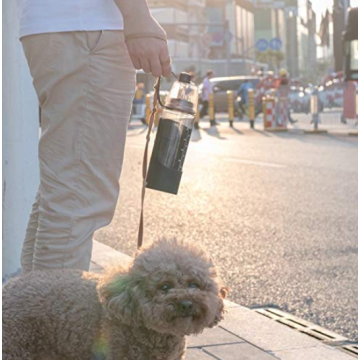 Garrafa de água humana e cão