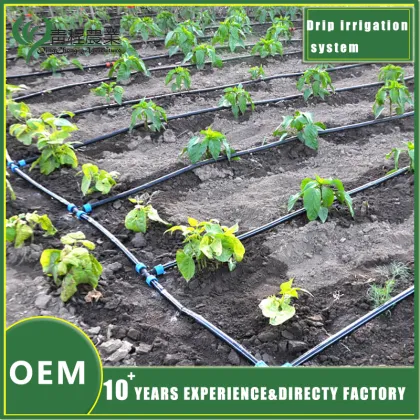 Advanced Drip Irrigation System