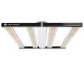 Volledig spectrum LED Grow Light 1000W voor hydrocultuur