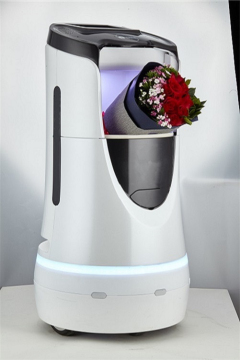 Multi-function Hotel Intelligent Robot