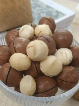 macadamia nuts
