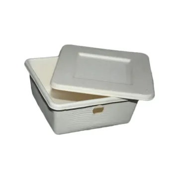 Custom biodegradable bagasse paper molded pulp packaging box