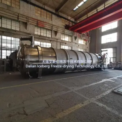 Double Cold Traps Freeze dryer