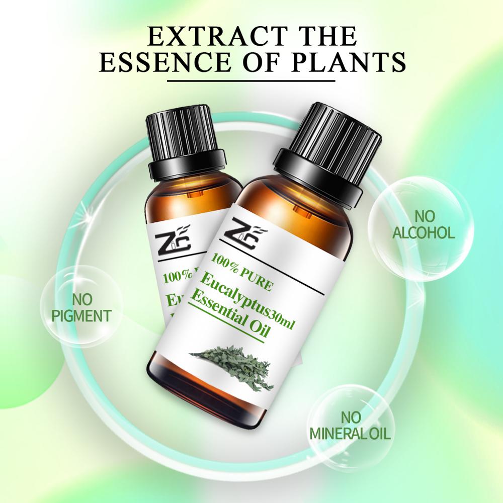 pure eucalyptus new eucalyptus oil essential oil