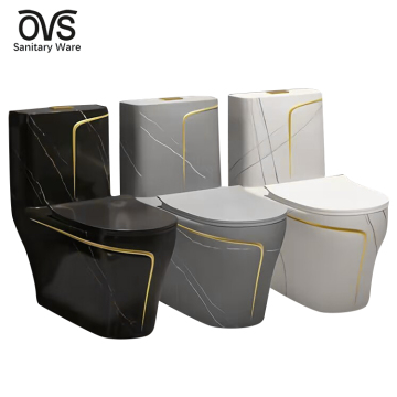 OVS Luxury Ceramic Toilet - One Piece Bilik Mandi WC Pengilang
