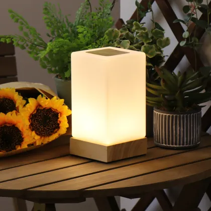 High-Tech Wooden Base Touch Control Desk Lamp with Glass Shade