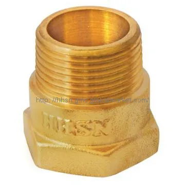 Internal and external brass union