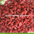 Commerce de gros Nutrition naturelle Goji séché biologique