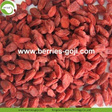 Comércio por grosso nutricional orgânico orgânico seco Goji