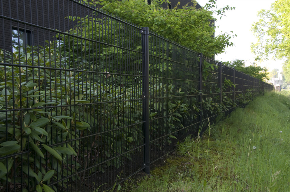 Valla de malla de alambre de doble galvanizado para casa