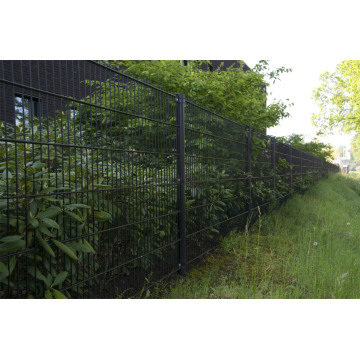 Double Galvanized Wire Mesh Fence untuk Rumah