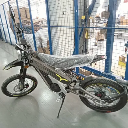 2024 New Arrival Talaria X3 Sting E-bike