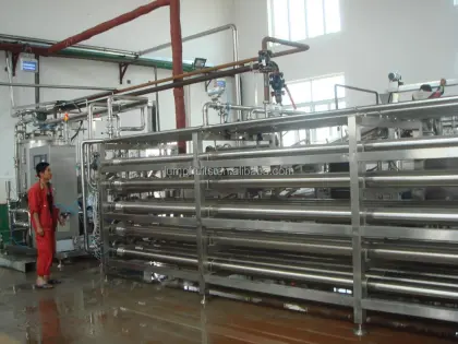 Automatic cranberry processing line
