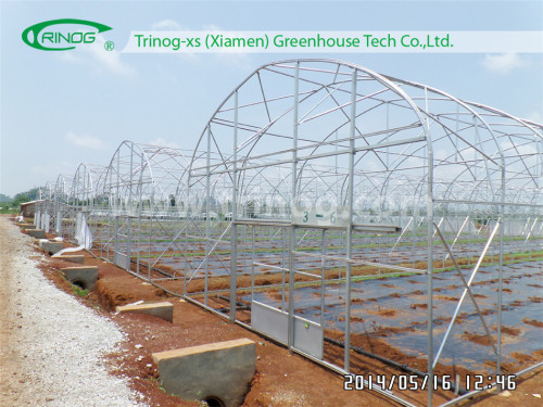 Galvanized Steel Structure Tunnel Greenhouse