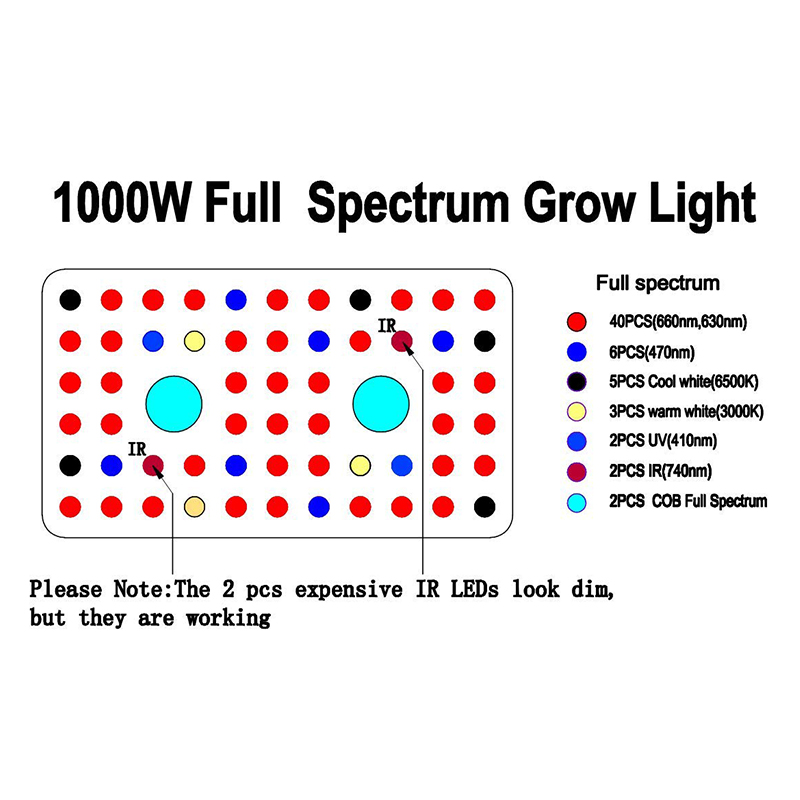 Best COB LED Grow Lights Phlizon