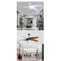 60 Inch Fancy Giat ceiling fan