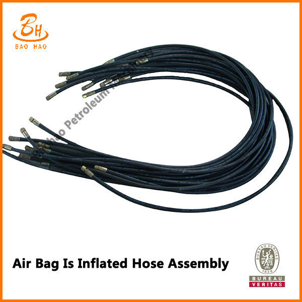 Air Bag Inflated Hose Assembly