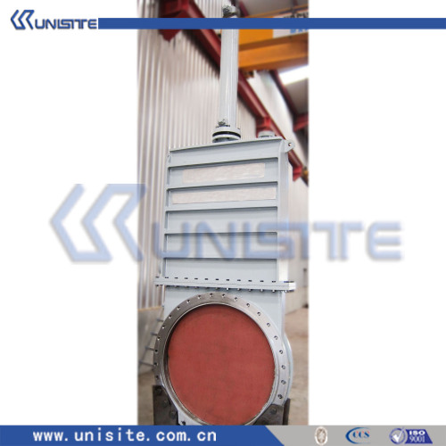 high pressure steel valve(USC-10-016)