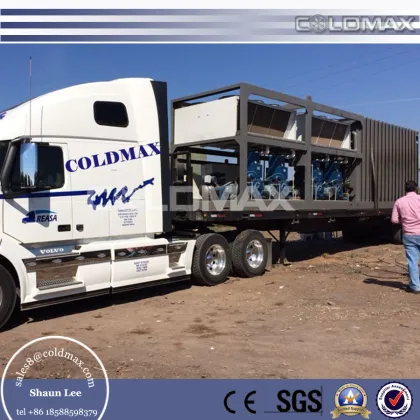 CE certification fresh cut flowers vegetables vacuum cooler